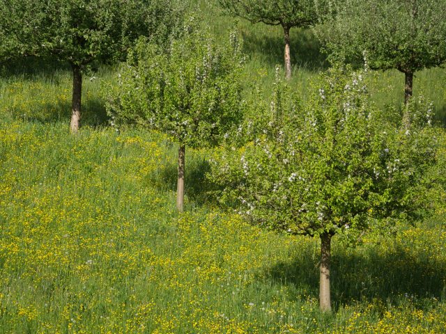 Protégez-vous des allergies saisonnières et améliorez votre bien-être