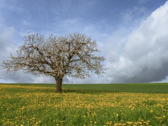 Protéger votre bien-être des allergies saisonnières